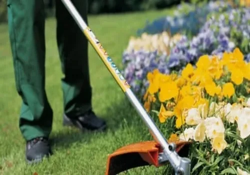 Jardinagem e Paisagismo São Lourenço